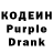 Кодеиновый сироп Lean Purple Drank Lyudmila Zakharenko